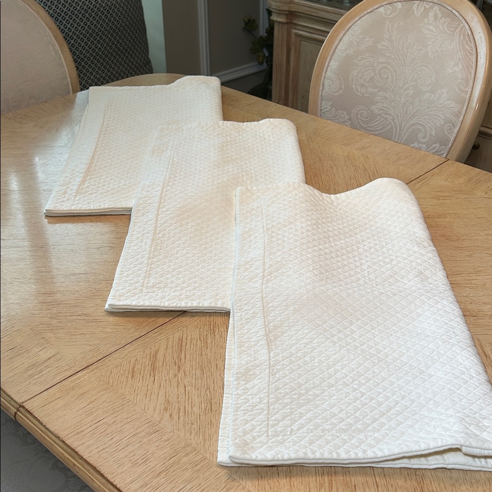 Restoration Hardware Euro Pillow Shams (3)